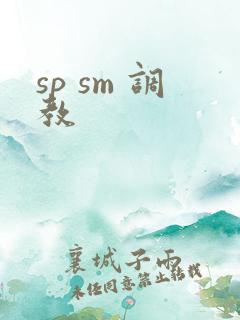 sp sm 调教