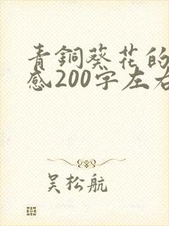 青铜葵花的读后感200字左右