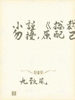 小说 《总裁请勿扰,原配己重生》