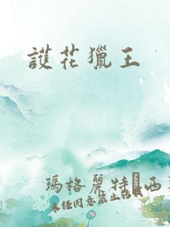 护花猎王 护花猎王