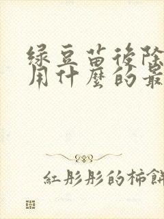 绿豆苗后除草剂用什么的最好