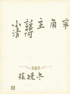 小说主角宁北苏清荷