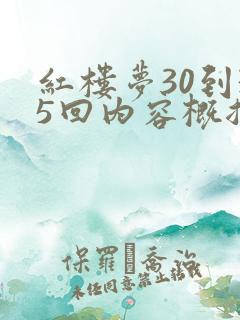 红楼梦30到35回内容概括