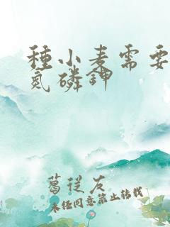 种小麦需要多少氮磷钾