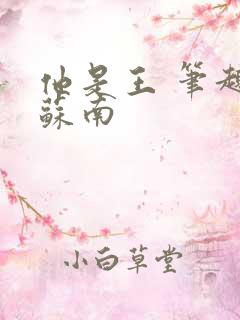 他是王 笔趣阁苏南