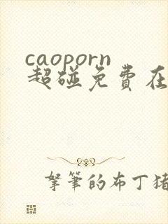 caoporn超碰免费在线