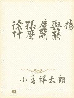 徐孙庆与杨静娣什么关系 徐孙庆与杨静娣什么关系