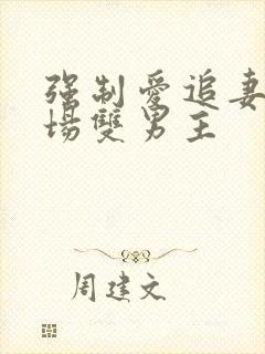 强制爱追妻火葬场双男主
