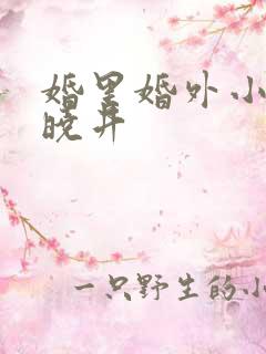 婚里婚外小说叶晓井 婚里婚外小说叶晓井