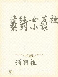 清纯女友被开发系列小说