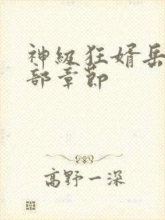 神级狂婿岳风全部章节 神级狂婿岳风全部章节