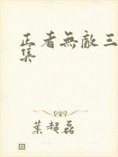 正者无敌三十六集