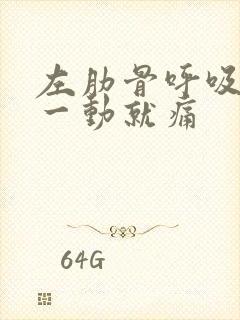 左肋骨呼吸痛,一动就痛