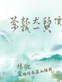 茶杯犬的价格多少钱一只