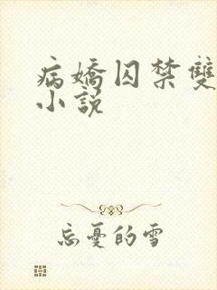 病娇囚禁双男主小说