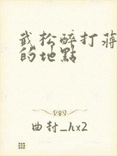 武松醉打蒋门神的地点