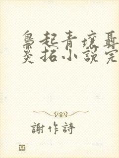 枭起青壤聂九罗炎拓小说完整版