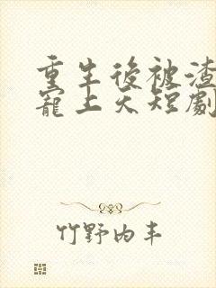 重生后被渣舅舅宠上天短剧