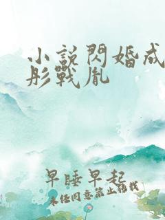 小说闪婚成宠海彤战胤
