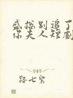 盛总别追了她是你夫人短剧免费