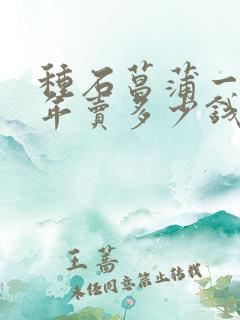 种石菖蒲一亩一年卖多少钱