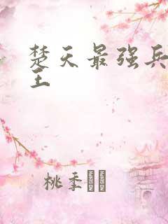 楚天最强兵王之王 楚天最强兵王之王