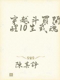 穿越斗罗开局觉醒10生武魂