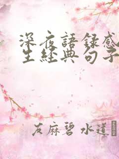 深夜语录感悟人生经典句子