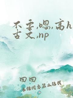 不要,嗯,高h古文,np