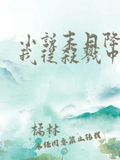 小说末日降临,我从杀戮中崛起免费阅读全本