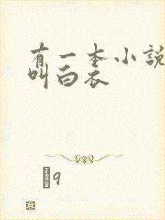 有一本小说主角叫白衣 有一本小说主角叫白衣