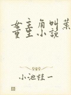 女主角叫叶薇的重生小说