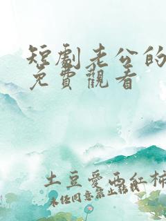 短剧老公的秘密免费观看 短剧老公的秘密免费观看