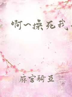 啊~操死我小说