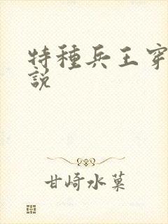 特种兵王穿越小说
