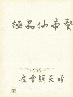 极品仙帝赘婿