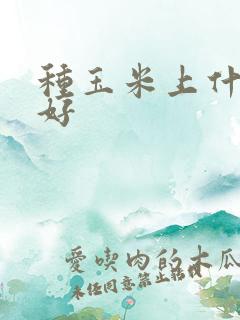 种玉米上什么肥好 种玉米上什么肥好