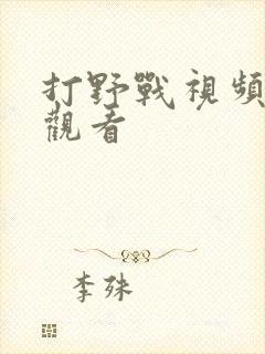 打野战视频在线观看