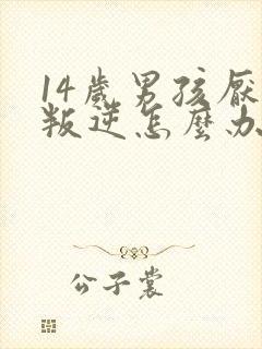 14岁男孩厌学叛逆怎么办