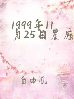 1999年11月25日农历的生辰八字
