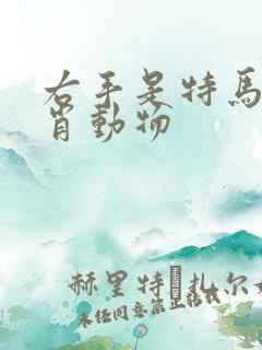 右手是特马打生肖动物