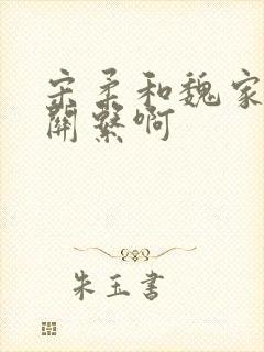 宋柔和魏家什么关系啊 宋柔和魏家什么关系啊