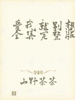爱我就别想太多全集完整版免费观看