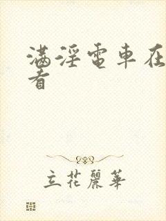 满淫电车在线观看