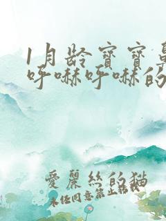 1月龄宝宝鼻子呼哧呼哧的怎么办