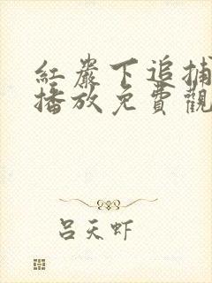 红岩下追捕在线播放免费观看