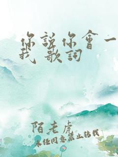 你说你会一直爱我 歌词