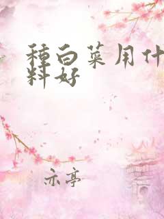 种白菜用什么肥料好
