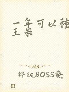 一年可以种几次玉米