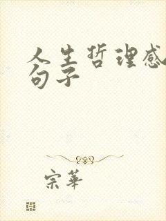 人生哲理感悟的句子 人生哲理感悟的句子